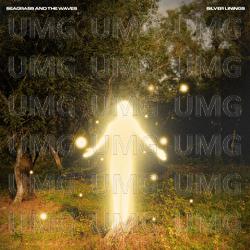 Silver Linings - Seagrass And The Wave