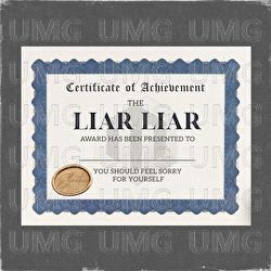 Liar Liar - Elestee