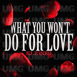 What You Won&rsquo;t Do for Love - EJ Jones