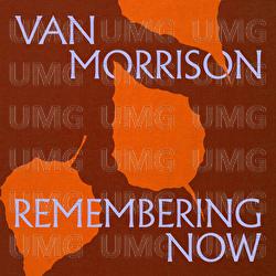 Down To Joy - Van Morrison