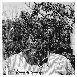 A dream of summer - Alberto Cipolla