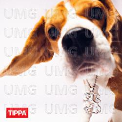 Suomileijona - TIPPA, MELO