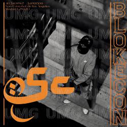 Blokecon sc - Blokecon