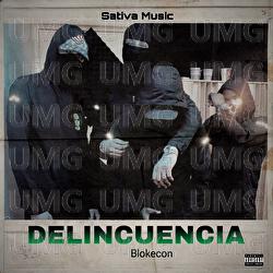 Delincuencia - Blokecon