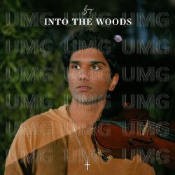 Into The Woods - Joel Sunny