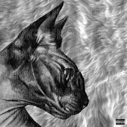 Miao Miao - KITO