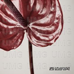 Xi Bian De Feng - The Fallacy