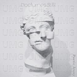 Poetic Irony - Nocturnes