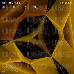 Yong Heng Shao Nian - The Hormones