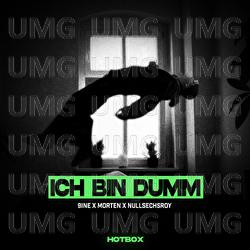 ICH BIN DUMM - nullsechsroy, 9inebro, morten