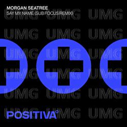 Say My Name - Morgan Seatree, Sub Focus
