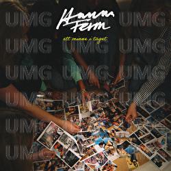 ett minne I taget - Hanna Ferm