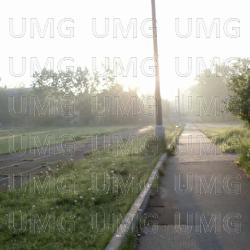 i have no one - limly