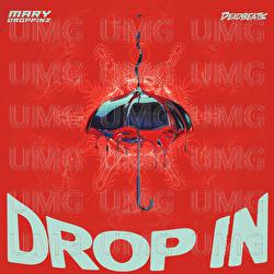 Drop In - Mary Droppinz