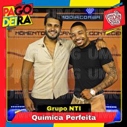 Qu&iacute;mica Perfeita - Pagodeira, Grupo NTI