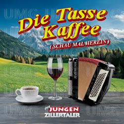 Schau mal herein - Die jungen Zillertaler