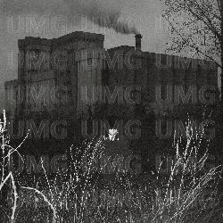Orwell - Caleydo