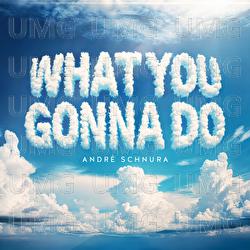 What You Gonna Do - Andr&eacute; Schnura