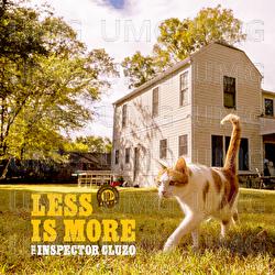 WE WIN TOGETHER, I'M LOSING ALONE - The Inspector Cluzo