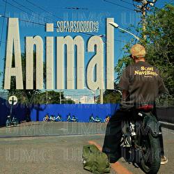 Animal - So Far So Good