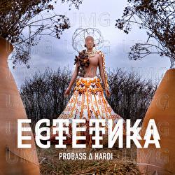 ESTETYKA - PROBASS ∆ HARDI