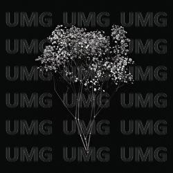 YALAN D&Uuml;NYA - UZI