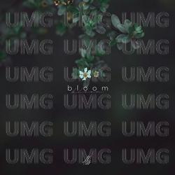 Bloom - DLSS