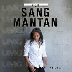 Sang Mantan - Felix Irwan