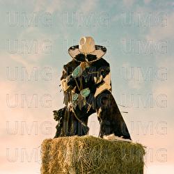 Hoedown - Ink