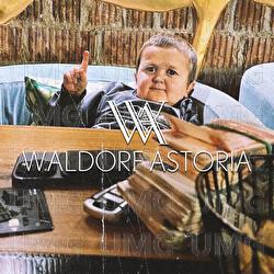 Waldorf Astoria - JURI, Kolja Goldstein, Nizi19