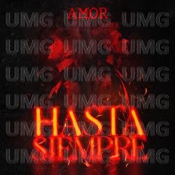 Hasta Siempre - AMOR