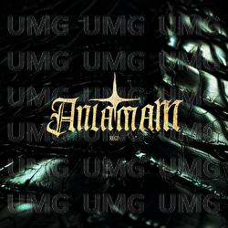 ANLAMAM - RECO