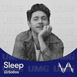 The Show - Niall Horan