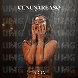 Cenușăreaso - ADDA