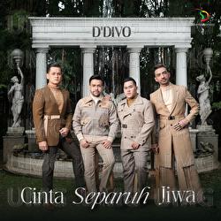 Cinta Separuh Jiwa - D'Divo