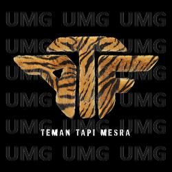 Teman Tapi Mesra - Andre Taulany, Andre Taulany & Friends
