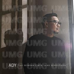Tak Seindah Cinta Yang Semestinya - Ady