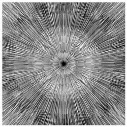 I've Got a Future - Toydrum, Gavin Clark