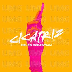 Cicatriz - Pieles Sebastian