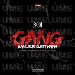Gang - Banlieue Ouest Mafia, Chabodo, L&rsquo;Expert
