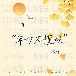 Nian Shao Bu Dong Qiu - Shuang Ye