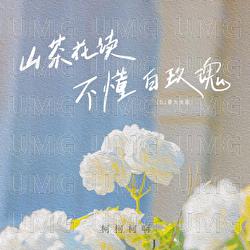 Shan Cha Hua Du Bu Dong Bai Mei Gui - Ke Ke Ke A