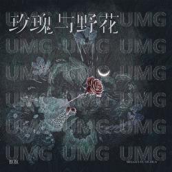 Mei Gui Yu Ye Hua - Kou Kou