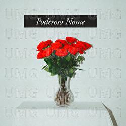 Poderoso Nome - The Belonging Co, Gabriel Guedes de Almeida