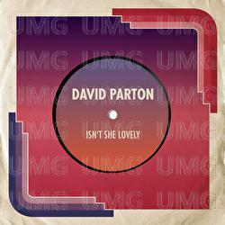Isn't She Lovely - David Parton