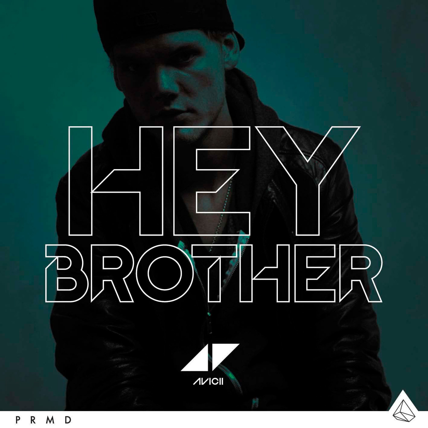 Dopo il successo planetario di "Wake Me Up", torna AVICII con il nuovo singolo "Hey Brother"