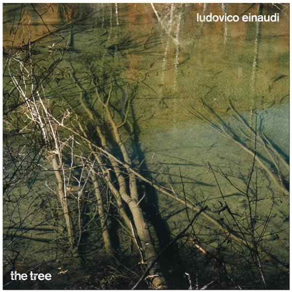 THE TREE, IL NUOVO SINGOLO DI LUDOVICO EINAUDI