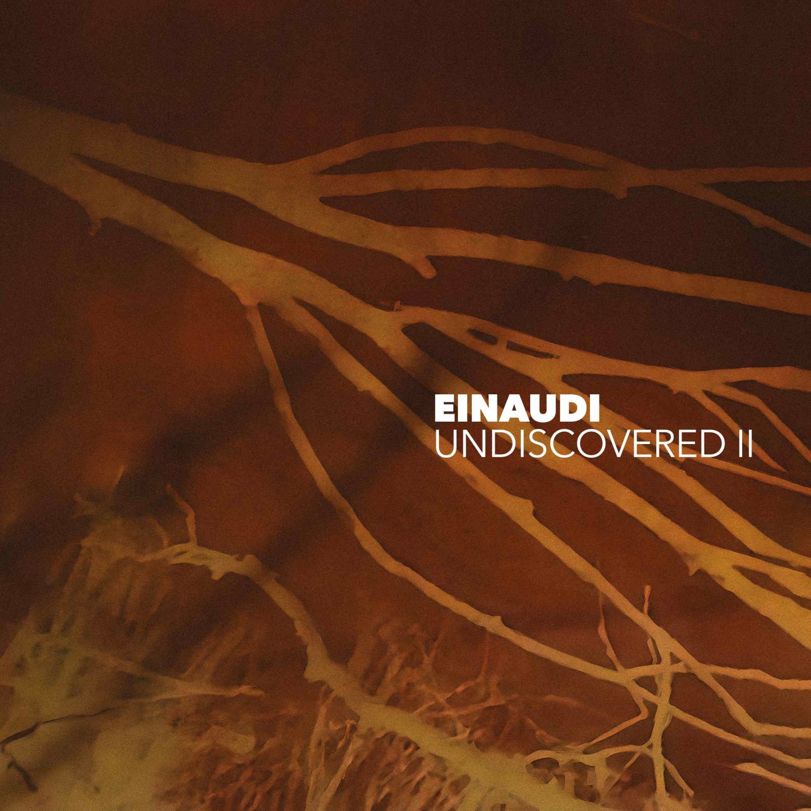 LUDOVICO EINAUDI: UNDISCOVERED II - LA NUOVA RACCOLTA CON RARITA', INEDITI E LA VERSIONE PER PIANOFORTE SOLO DI "EXPERIENCE"