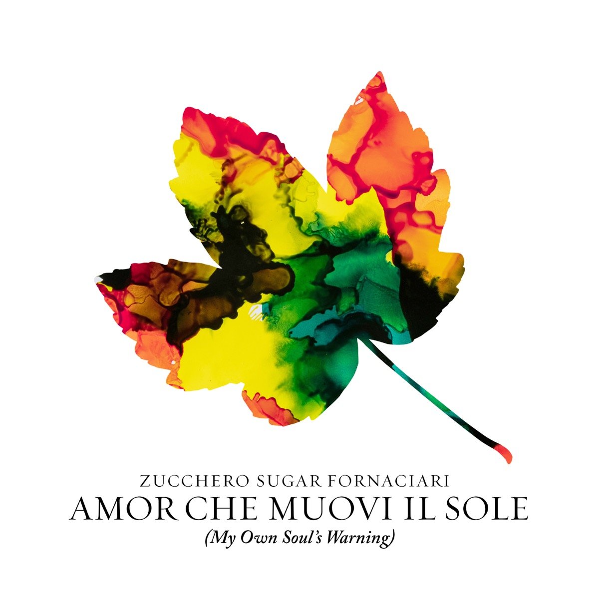 Zucchero festeggia il compleanno con il nuovo singolo "Amor che muovi il sole" e anticipa l’album "DISCOVER II"
