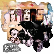 PRIORS - WHAT YOU NEED